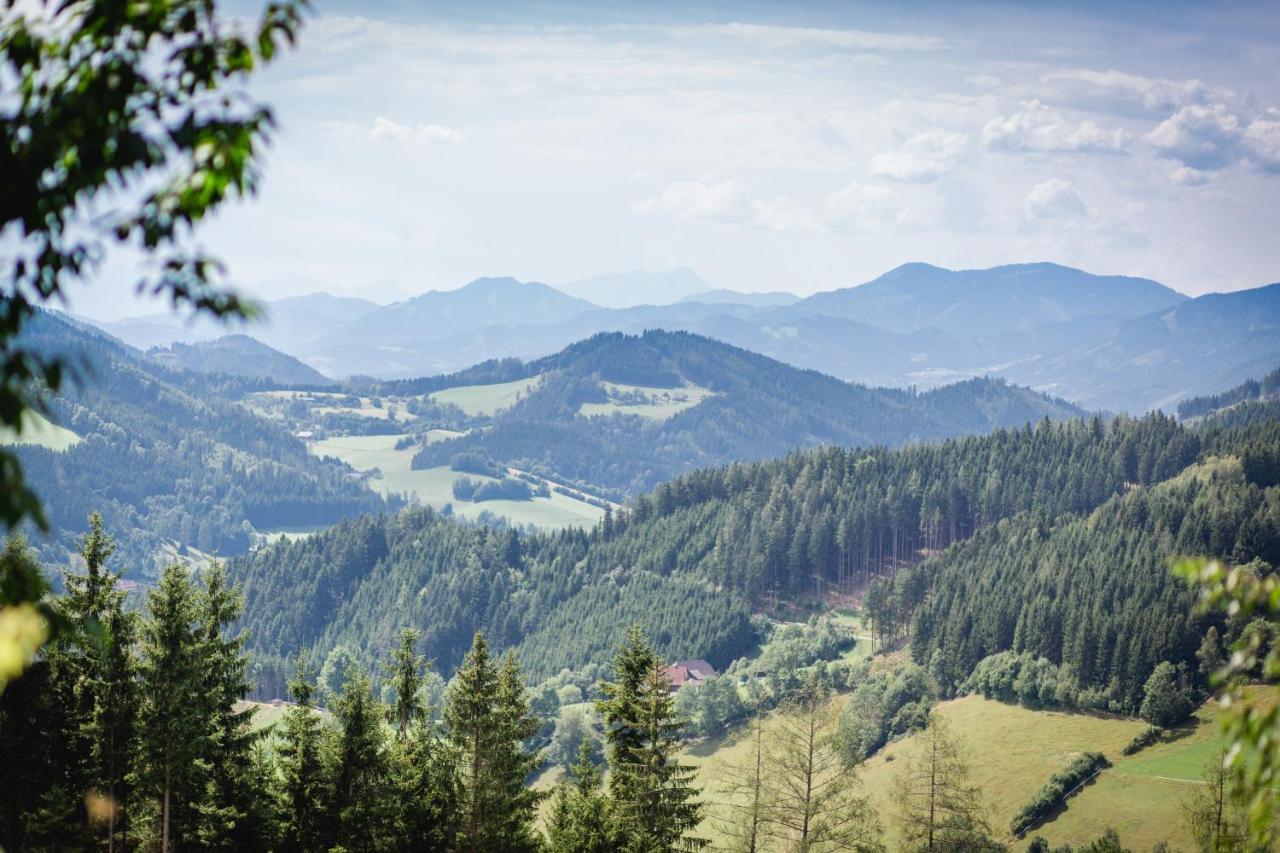 Hotel Oberer Gesslbauer 3*